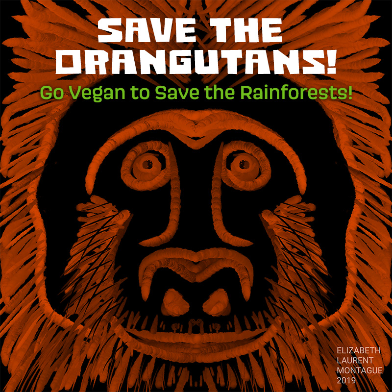 Save the Oangutans!